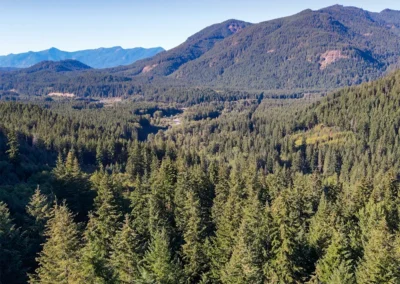Cascade Forest Conservancy Site of the Yellowjacket forest sale in the Gifford National Forest.