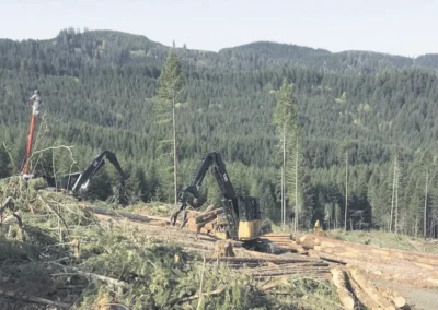 Economic Alliance of Lewis County Feedstock is available in Lewis County as a byproduct of the timber industry.